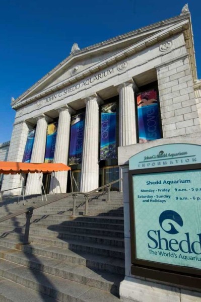 SheddAquarium04