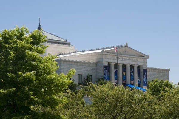 Shedd_Aquarium100