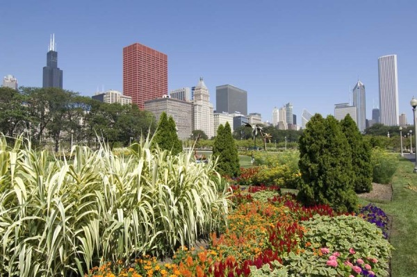 Chicago Skyline from Grant Park