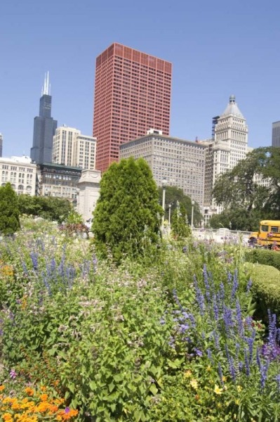 Chicago Skyline from Grant Park