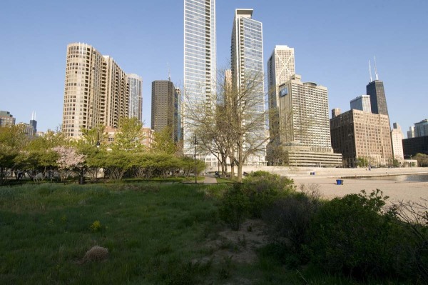 Chicago Skyline from Ohio Beach Park