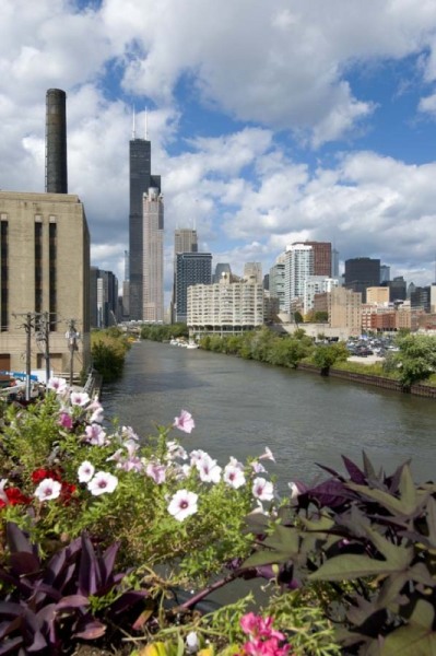 Chicago Skyline from Roosevelt Road with river