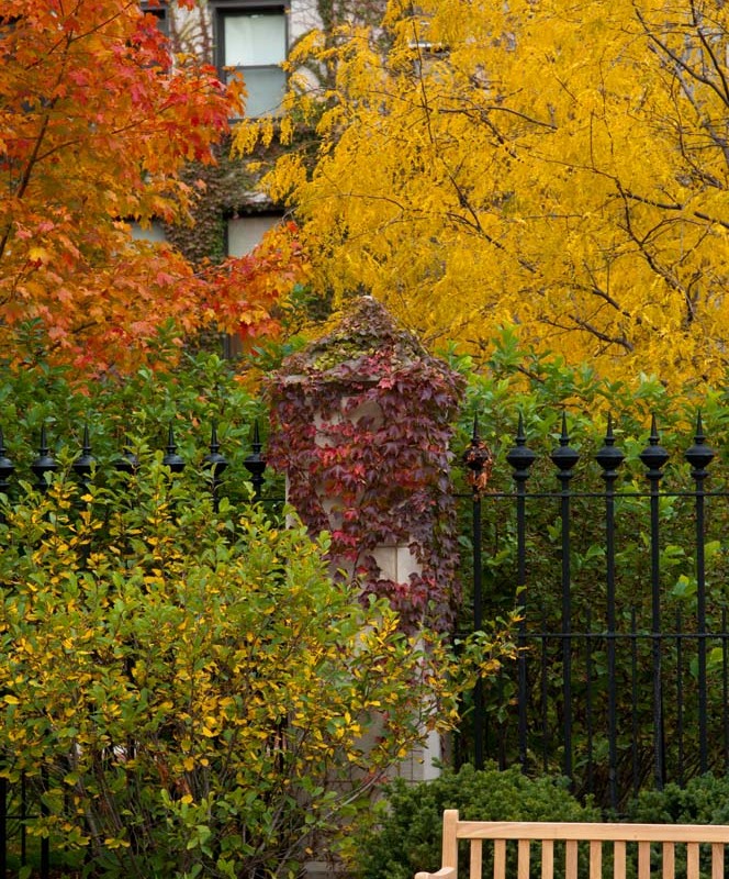 University of Chicago, autumn.