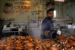 Washington DC, District of Columbia, vendor selling crabs at the fish market